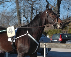 Twinkle Kronos 150318-1